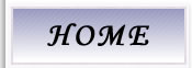 �g�b�v�y�[�W/�����[���P�[�L �`�[�Y�X�t�����A�� �m�َq �������